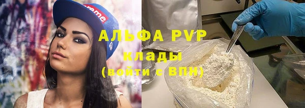 PSILOCYBIN Балахна