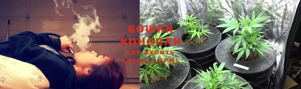 PSILOCYBIN Балахна