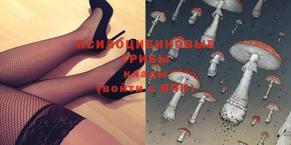 PSILOCYBIN Балахна